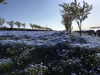 190426記事用A.jpeg