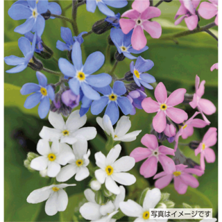 19A-123-08_01.png