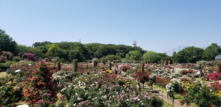 7 ガーデン全景.jpg