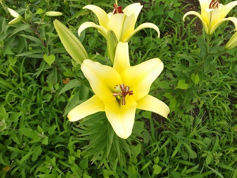 DSCF6615bb.jpg