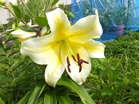 DSCF6696bb.jpg