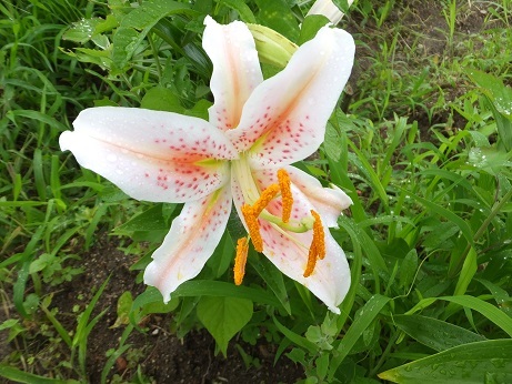 DSCF6744bb.jpg