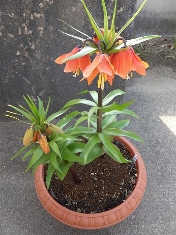 DSCF7301b.jpg