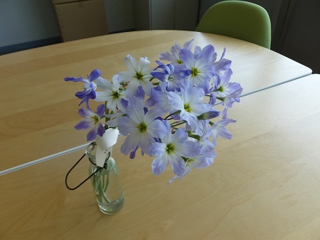 DSCF7505b.jpg