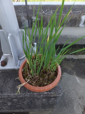 DSCF8026B.jpg