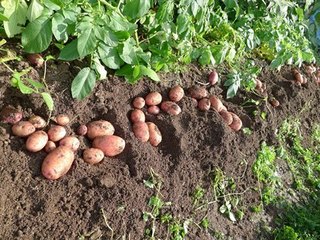 ★P1020538.jpg