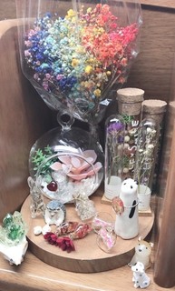 かすみ草.jpg