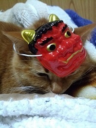 にゃあこA.jpg