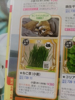 カタログ.jpg