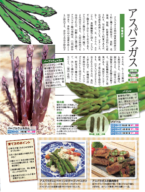 キャプチャ1b.png