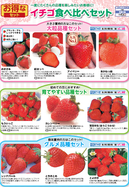 キャプチャ3b.png