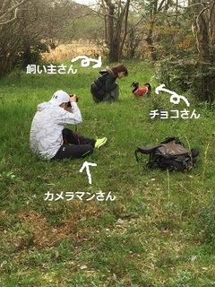 チョコA.jpg