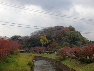 三室山紅葉.jpg