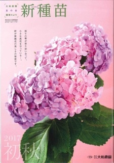 初秋号表紙.jpg