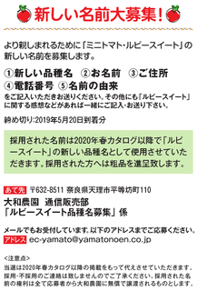 募集要項.png
