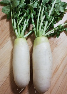 小ぶり味大根.jpg