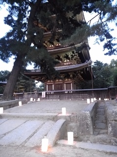 燈花会A.jpg
