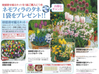 球根寄せ植えキット.png