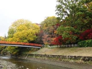 竜田川 橋.jpg