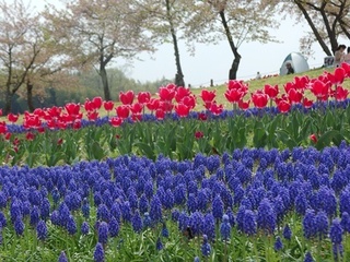 IMGP1466.jpg
