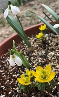 IMG_5308.jpg