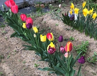 IMG_5490.jpg