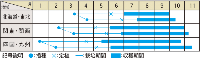 栽培適期表