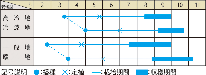 栽培適期表