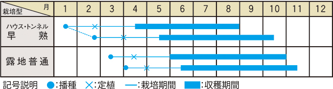 栽培適期表（近畿標準）