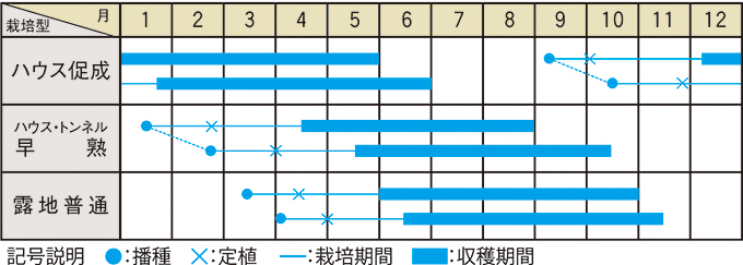 栽培適期表（近畿標準）