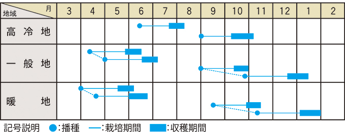 栽培適期表