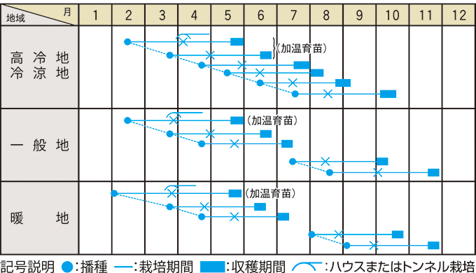 栽培適期表