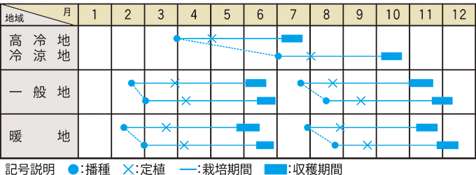 栽培適期表