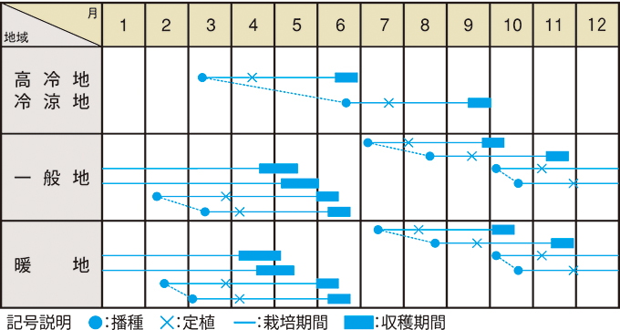 栽培適期表