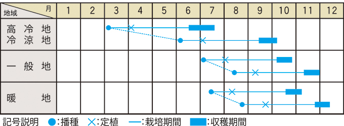 栽培適期表