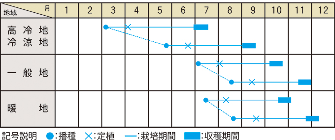 栽培適期表