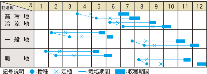 栽培適期表