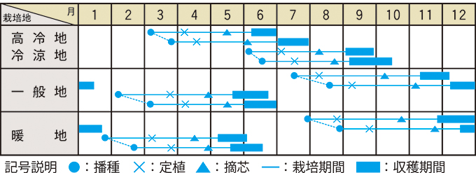 栽培適期表