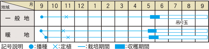 栽培適期表