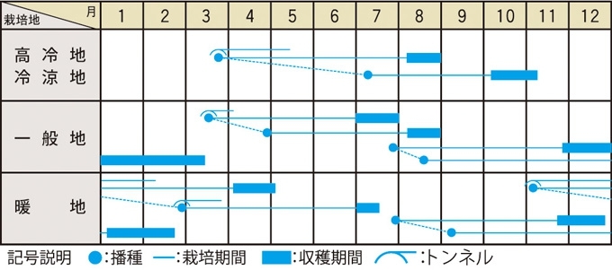 栽培適期表