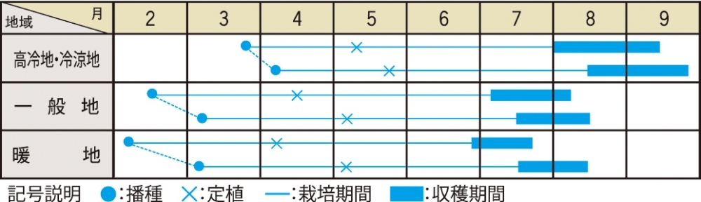 栽培適期表）