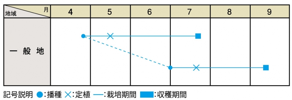 栽培適期表