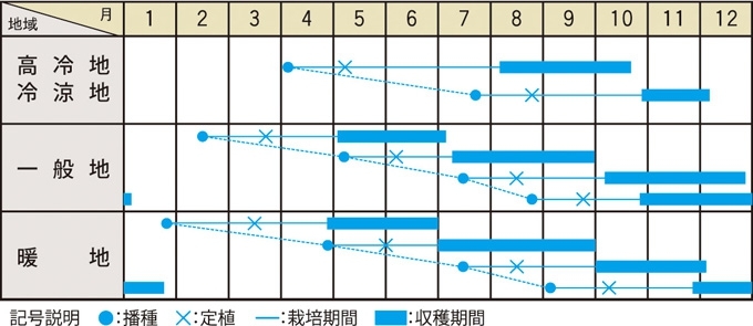 栽培適期表