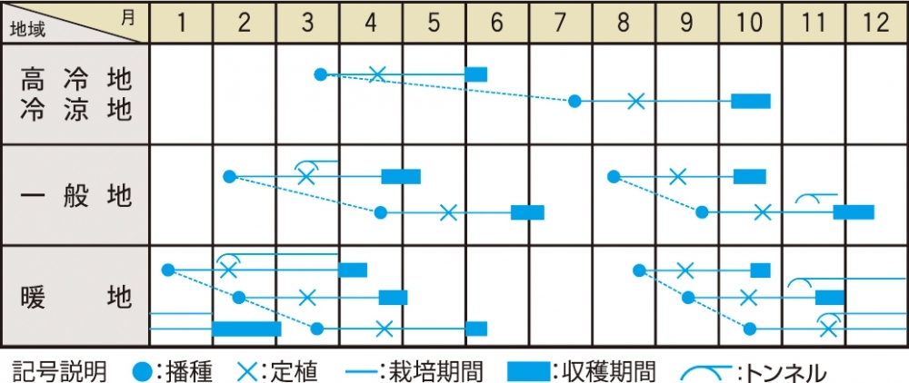 栽培適期表