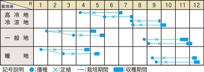 栽培適期表