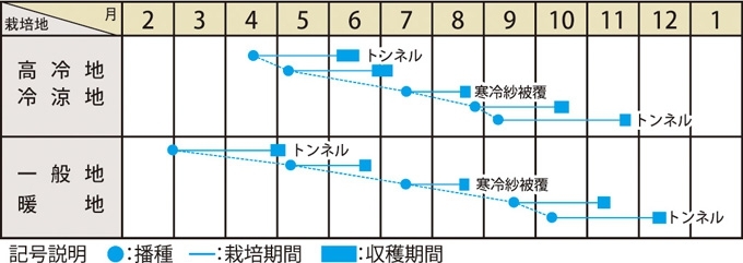 栽培適期表