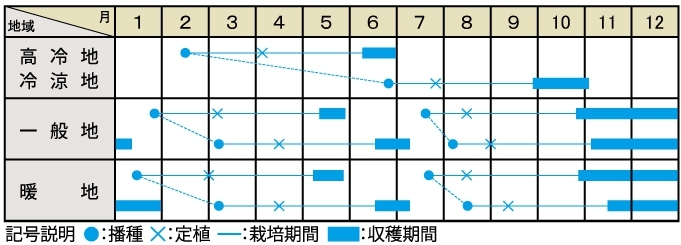 栽培適期表