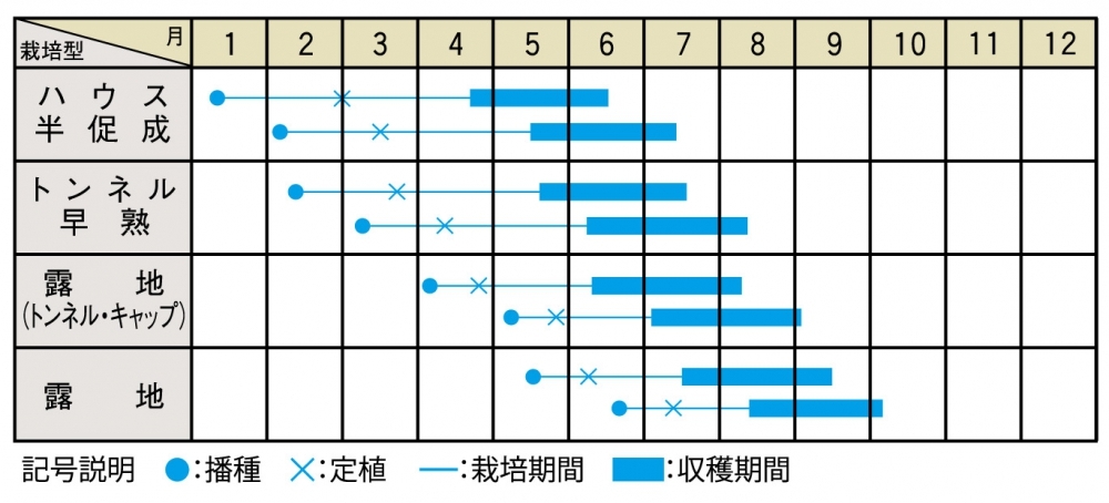 栽培適期表（近畿標準）