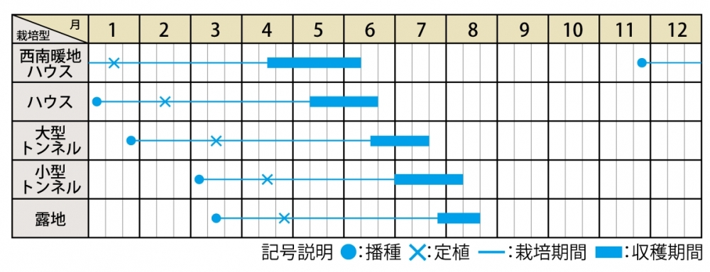 栽培適期表