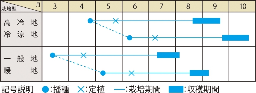 栽培適期表